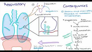 Maternal Changes in Pregnancy [upl. by Zanas]