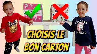 CHOISIS LE BON CARTON CHALLENGE KAMILIA amp MASSILYA [upl. by Limaj]