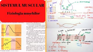 ADMITERE MEDICINA SISTEMUL MUSCULAR 2 Fiziologia muschilor [upl. by Nanci]