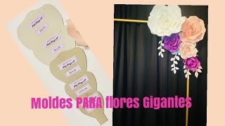 Cómo Hacer Moldes Para Flores Gigantes Tem  38 Giant Flower Template Making Tutorial  Tem  38 [upl. by Winonah]