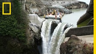 After Largest Dam Removal in US History This River Is Thriving  National Geographic [upl. by Towbin503]