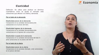 13 Economía S6 Elasticidad Precio definición [upl. by Bettine]