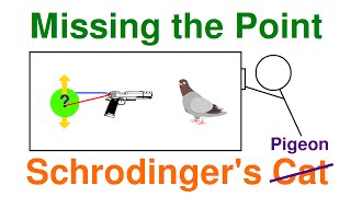 Schrödingers Cat Missing the Point [upl. by Ecirpak]