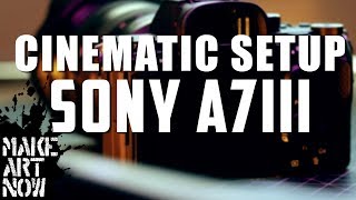 SONY A7III SETUP ALL CINEMATIC FUNCTIONS [upl. by Ruscher]