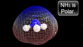 Is NH3 Polar or Nonpolar Ammonia [upl. by Owena]