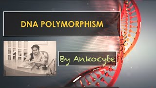 DNA Polymorphisms and its classifications [upl. by Nalor]