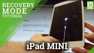 How to Enter Recovery Mode in APPLE iPad mini  Quit APPLE Recovery [upl. by Esimaj]