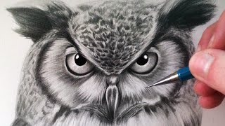 How to Draw an Owl [upl. by Euqinomod]