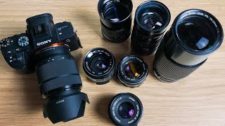 My Favorite Vintage Lenses For The Sony A7iii Vintage Lens Collection [upl. by Netty378]