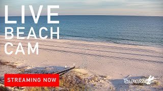 Live Beach Cam Orange Beach Alabama [upl. by Olinde734]