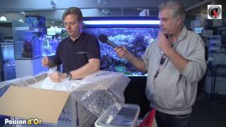 Tutoriel Acclimatation des poissons daquarium [upl. by Ennovahc246]