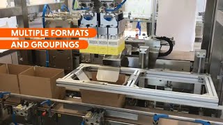 American Box PickandPlace Automatic Packaging Machine [upl. by Leunas]