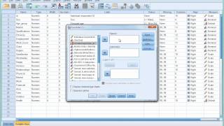 SPSS Tutorial 6  Introducing Crosstabulation [upl. by Bogey400]