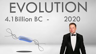 Human Evolution  41 Billion BC  2020 [upl. by Haimerej]