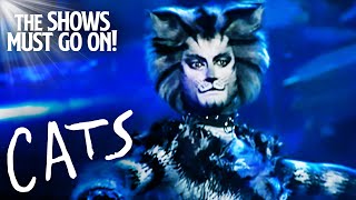 Jellicle Songs for Jellicle Cats  Cats The Musical [upl. by Attiuqahs]