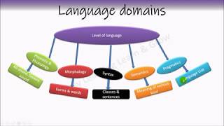 Phonetics  Phonology  Morphology  Syntax  Semantics  Pragmatics [upl. by Ammeg525]