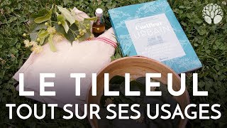 Tilleul tout sur ses usages [upl. by Artenek]