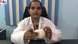 Fetal Skull  Practical Explanation  English  Nursing Lecture [upl. by Latham]