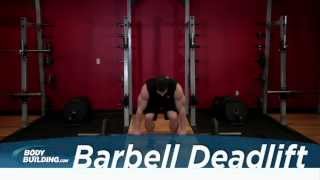 Barbell Deadlift  Leg amp Back Exercise  Bodybuildingcom [upl. by Casabonne558]