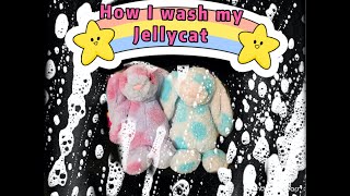 How I wash my Jellycat stuffed animals and other plushies [upl. by Slaby]