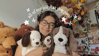 my jellycat puppy collection [upl. by Midian98]