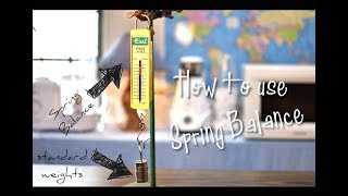 How to use a SPRING BALANCE  Basic Science  Physics Experiment [upl. by Lyford]