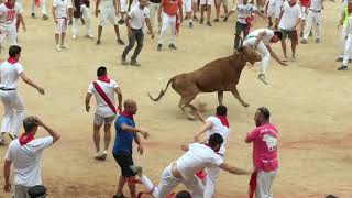 Running of the Bulls in Pamplona Spain running of bulls Spanish Bull Run Pamplona Bull Ring [upl. by Garvey]