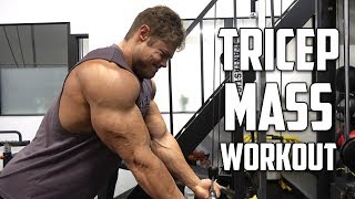 PURE Tricep Workout for MASS  Detailed Description [upl. by Schwarz]