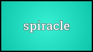 Spiracle Meaning [upl. by Notneb]