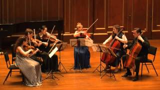 Arnold Schoenberg  Transfigured Night for String Sextet Op 4 [upl. by Eissehc]