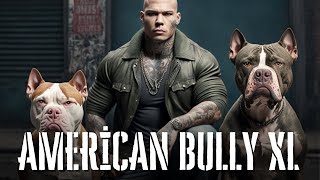 American Bully XL – Standard Regimen Bloodlines Breeding amp FAQ [upl. by Norud]