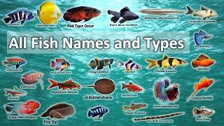 All Fish Names and Types in 2 minutes [upl. by Elcarim]