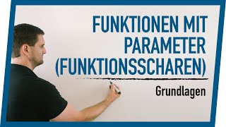 Funktionen mit Parameter Funktionsscharen Grundlagen  Mathe by Daniel Jung [upl. by Neve420]