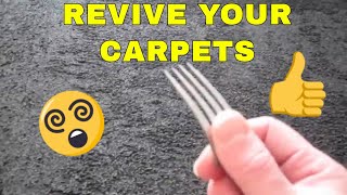 DIY How To Restore Carpet Pile The Yorkshire Digger [upl. by Stig677]