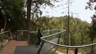 Up high at Capilano Suspension Bridge Park in 360°  Lonely Planet [upl. by Reid]