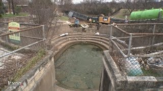 Barton Springs Pool emptied to create better environment for salamanders [upl. by Ahtenek]