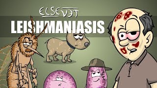 Leishmaniasis  Plain and Simple [upl. by Noxid]