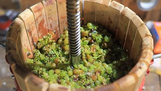 Making a White Wine from Grapes [upl. by Myrle690]