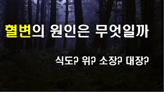 혈변의 원인은 무엇일까 [upl. by Burra]