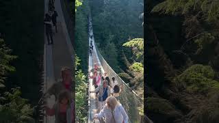 Capilano Suspension Bridge Vancouver Canada [upl. by Nolla377]