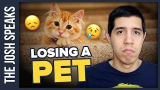 How To Deal with Losing a Pet 🐶☠🐱 [upl. by Eojyllib]