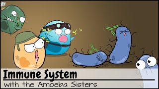 Immune System [upl. by Haiacim]