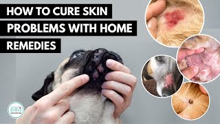 How To treat 5 Skin infection in dogs 🐕 with home remedies [upl. by Patsis]