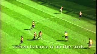 Hurling  The Fastest Game on Grass short version [upl. by Anatniuq]