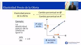 13 Elasticidad precio de la oferta [upl. by Sezen]