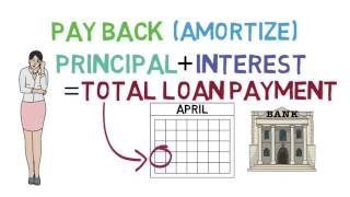 Loans 101 Loan Basics 13 [upl. by Suqram]