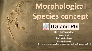 Morphological species concept [upl. by Mixie]