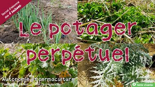 Le potager perpétuel  Autonomie et permaculture avec David [upl. by Redvers292]