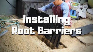 Installing Root Barriers to Protect House Foundations and Sidewalks [upl. by Yentruoc]