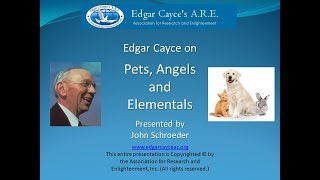 Edgar Cayce on Pets Angels and Elementals [upl. by Melone306]